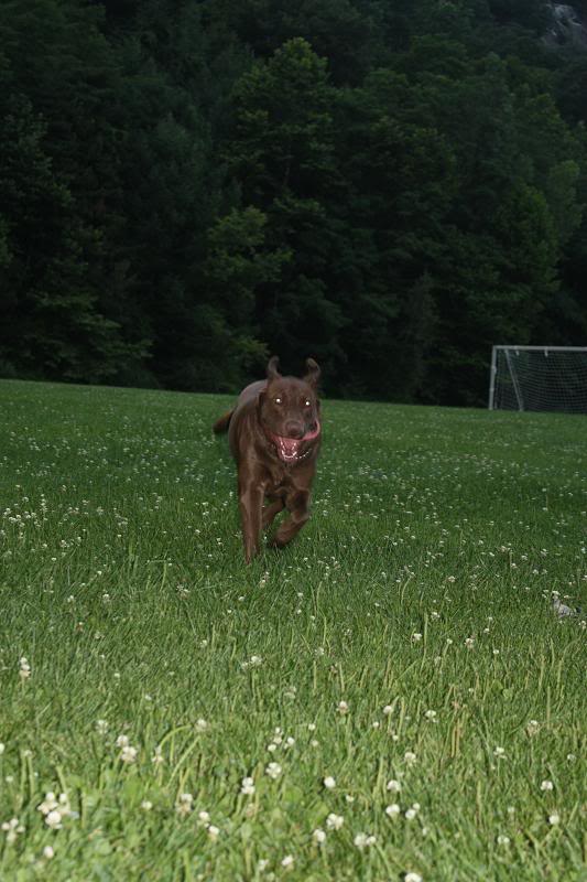 Name: July19thpicnic252.jpg
Views: 38
Size: 71.2 KB