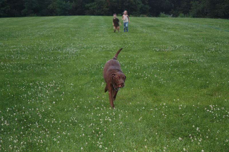 Name: July19thpicnic249.jpg
Views: 31
Size: 74.4 KB