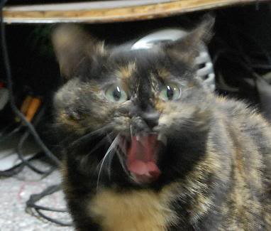 Name:  pixie.jpg
Views: 35
Size:  50.3 KB