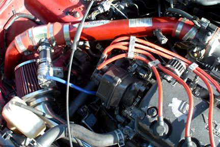 Name:  DSC_5798.jpg
Views: 349
Size:  49.4 KB