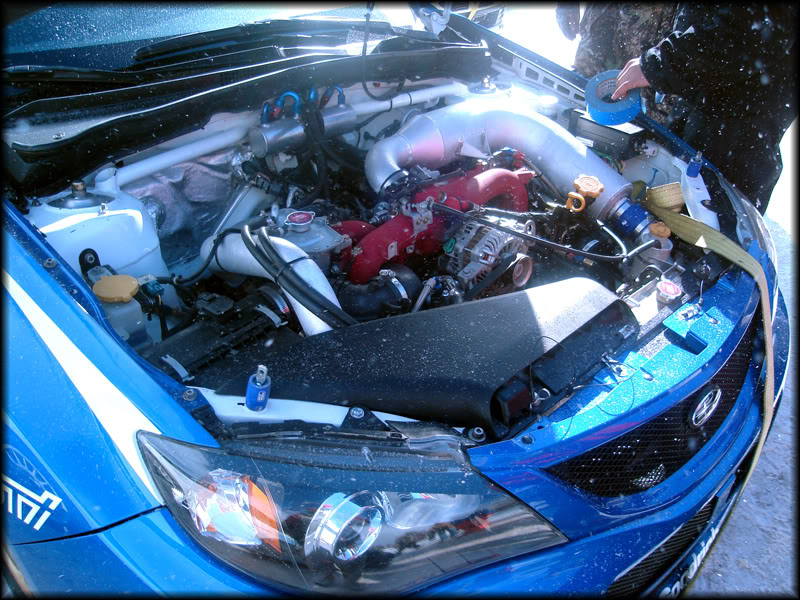 Name: Pastrana1.jpg
Views: 46
Size: 148.5 KB