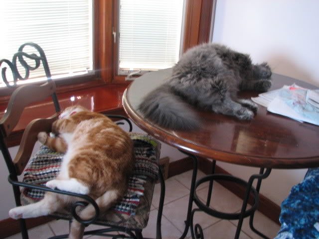 Name:  IMG_0670.jpg
Views: 46
Size:  49.7 KB