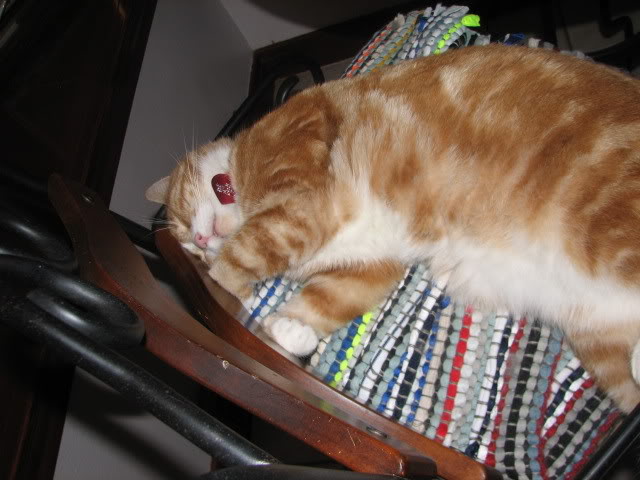Name:  IMG_0672.jpg
Views: 30
Size:  55.1 KB