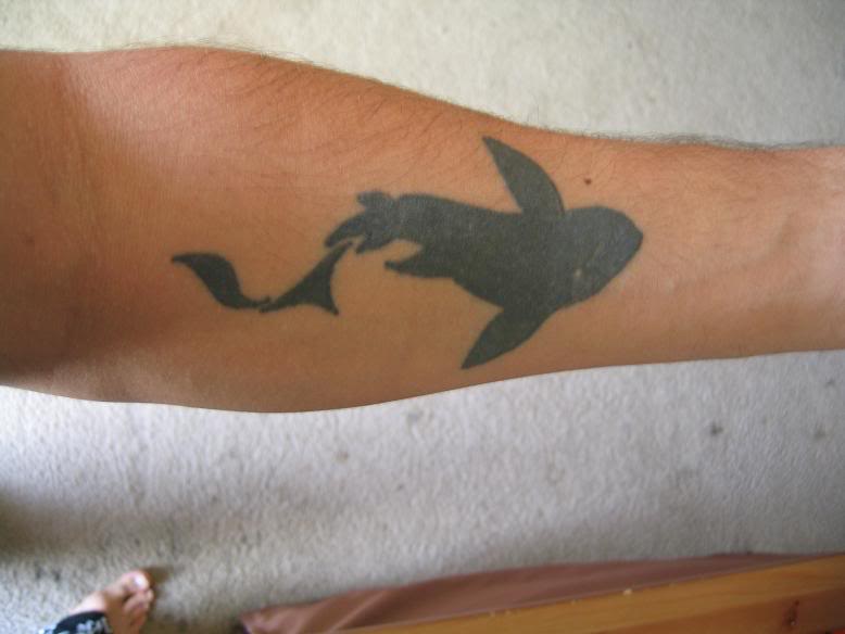 Name: shark.jpg
Views: 381
Size: 35.8 KB