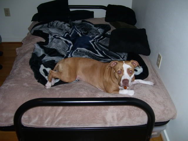 Name:  100_0942-1.jpg
Views: 41
Size:  44.7 KB
