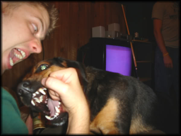 Name:  FightmevsBrody.jpg
Views: 46
Size:  31.3 KB