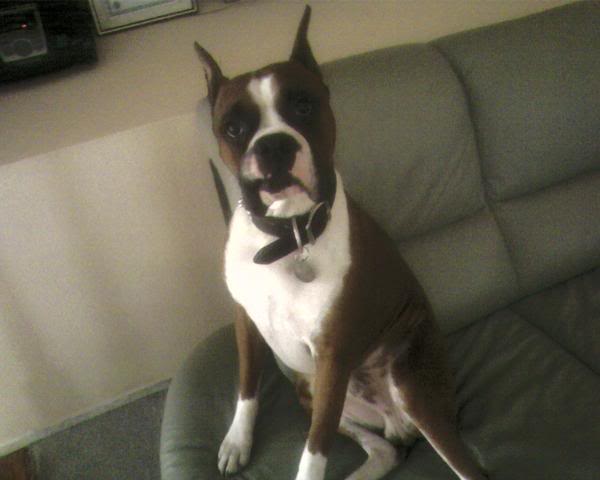 Name:  1001247783_l.jpg
Views: 75
Size:  24.7 KB