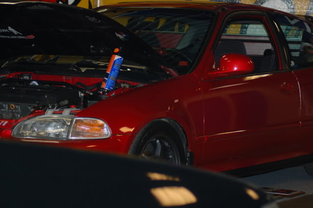 Name:  DSC_4017.jpg
Views: 53
Size:  63.4 KB