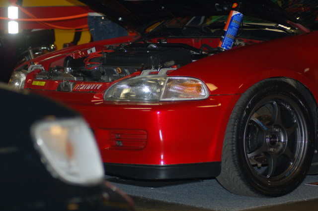 Name:  DSC_4019.jpg
Views: 49
Size:  65.1 KB