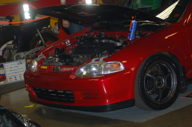 Name:  DSC_4021.jpg
Views: 42
Size:  68.2 KB
