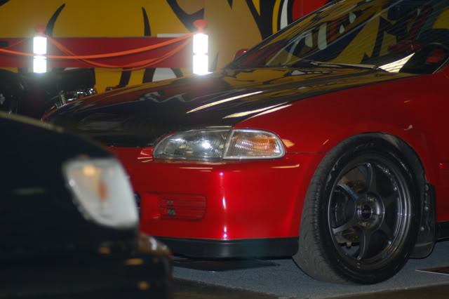 Name:  DSC_4028.jpg
Views: 46
Size:  61.7 KB