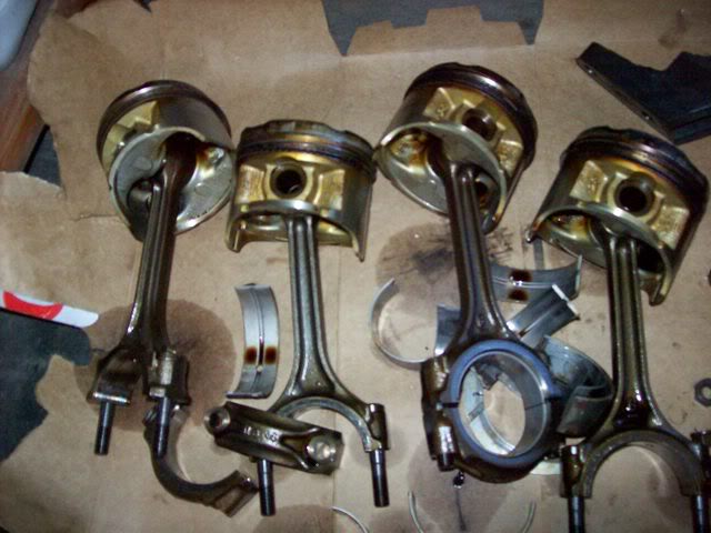 Name:  100_0118.jpg
Views: 93
Size:  63.4 KB