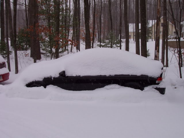 Name:  snowcivc.jpg
Views: 54
Size:  46.7 KB