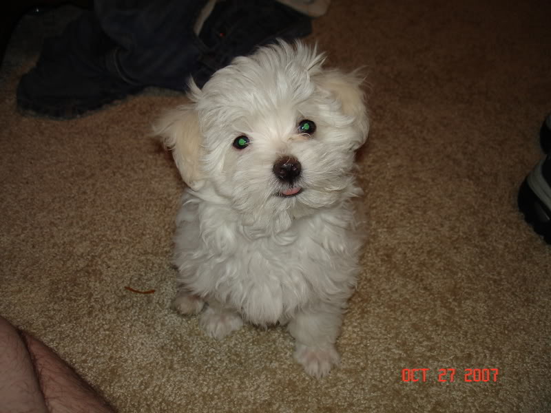 Name:  DSC00004.jpg
Views: 43
Size:  72.5 KB
