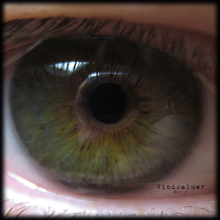 Name: MyEyecopy.jpg
Views: 23
Size: 47.3 KB
