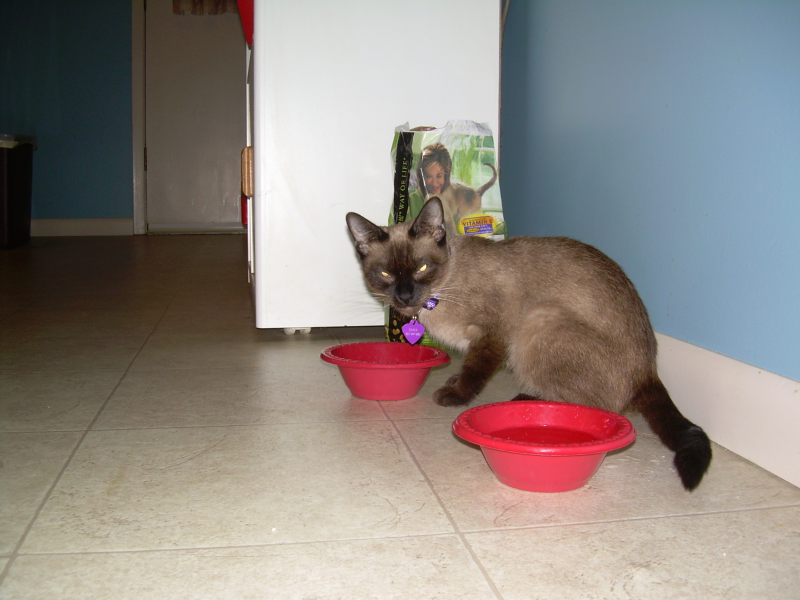 Name:  lily003.png
Views: 36
Size:  633.9 KB