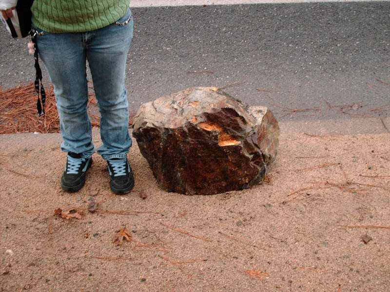 Name:  wreck003.jpg
Views: 46
Size:  91.0 KB
