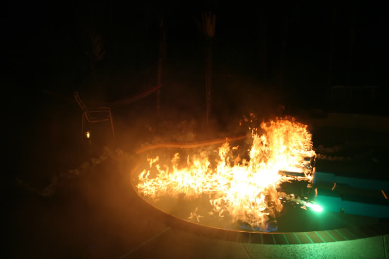 Name:  IMG_2823s.jpg
Views: 49
Size:  47.0 KB