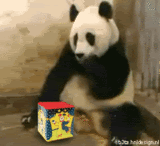 Name:  Sparta_005.gif
Views: 36
Size:  475.8 KB