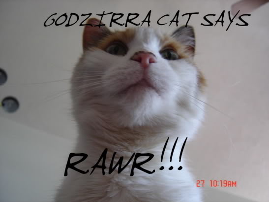 Name:  GODZIRRACAT2sizeedit.jpg
Views: 36
Size:  26.1 KB