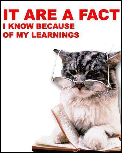 Name:  itareafact.jpg
Views: 37
Size:  29.1 KB