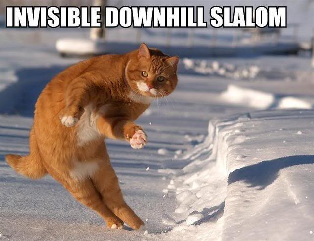 Name:  slalom.jpg
Views: 27
Size:  45.2 KB