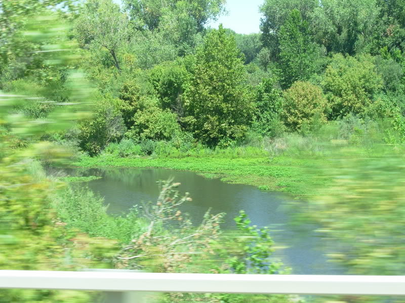 Name:  DSCN0633.jpg
Views: 138
Size:  147.1 KB