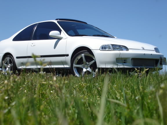 Name:  DSC00664.jpg
Views: 212
Size:  43.9 KB