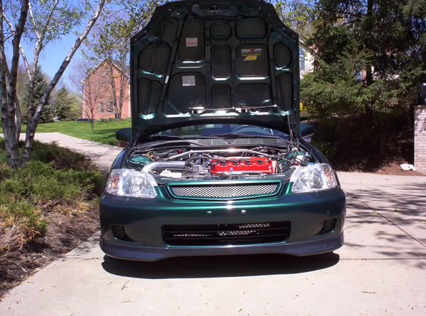 Name: midori1.jpg
Views: 268
Size: 84.9 KB