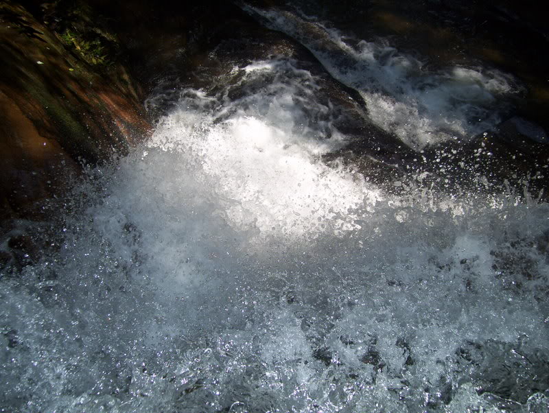 Name: 100_0220.jpg
Views: 68
Size: 135.1 KB