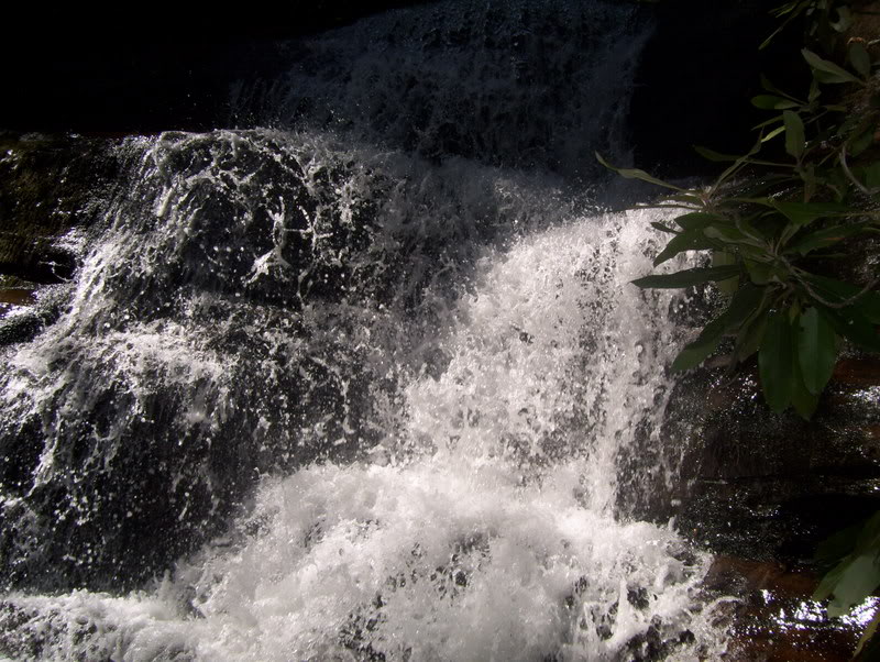 Name: 100_0211.jpg
Views: 69
Size: 139.8 KB
