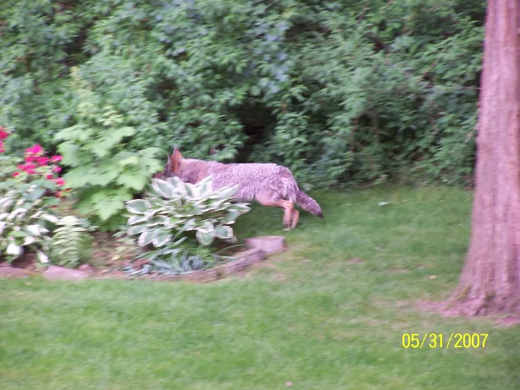 Name:  100_2309.jpg
Views: 69
Size:  118.9 KB