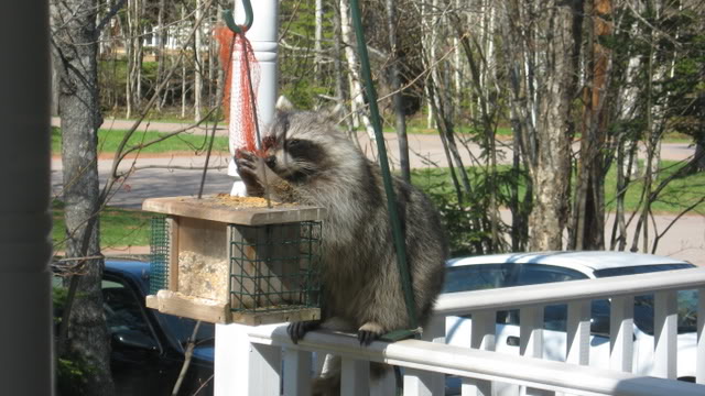 Name:  IMG_0471.jpg
Views: 34
Size:  65.3 KB