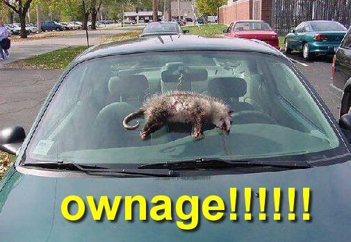 Name:  pwnage.jpg
Views: 35
Size:  39.4 KB
