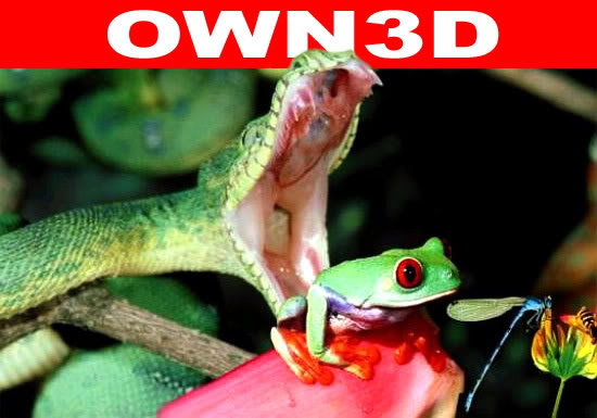 Name:  frog-pwned.jpg
Views: 23
Size:  43.9 KB