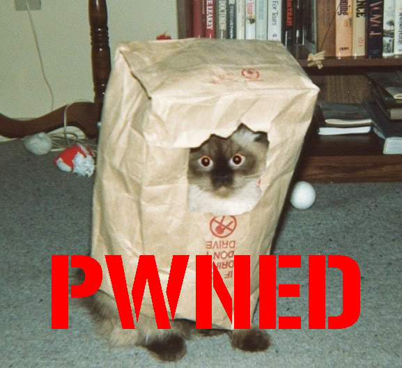 Name:  kiypwned.jpg
Views: 25
Size:  78.1 KB