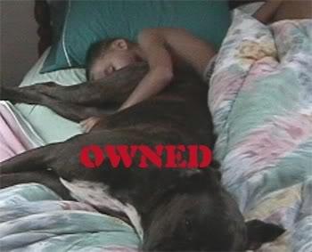 Name:  pwneddog.jpg
Views: 23
Size:  16.1 KB