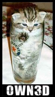 Name:  pwnedglass.jpg
Views: 23
Size:  20.0 KB