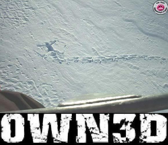 Name:  pwnedskiier.jpg
Views: 23
Size:  49.5 KB