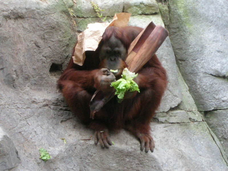 Name: DSCN2583.jpg
Views: 44
Size: 69.9 KB