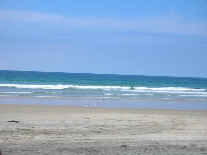 Name: DSCN2665.jpg
Views: 43
Size: 39.0 KB
