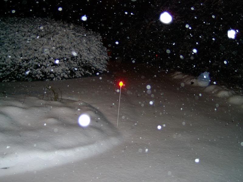 Name:  snow12-20-04004.jpg
Views: 36
Size:  64.4 KB