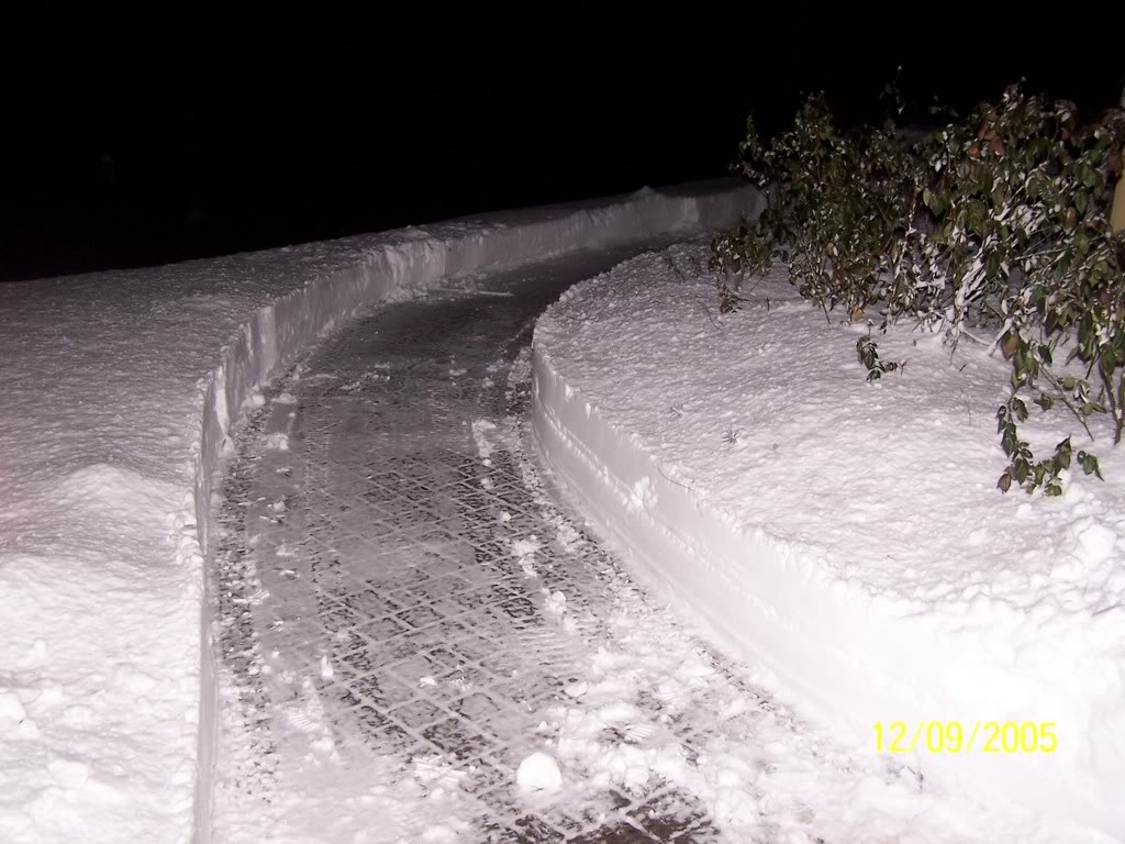 Name:  100_0586.jpg
Views: 55
Size:  133.1 KB