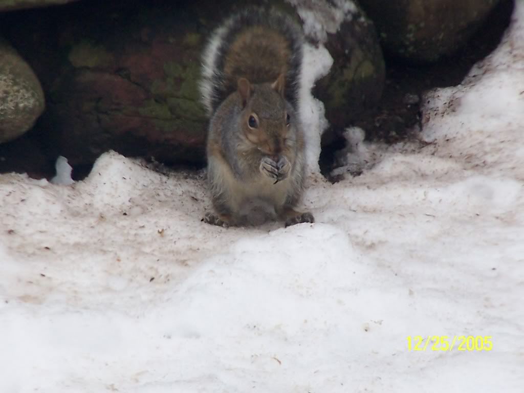 Name:  100_0712.jpg
Views: 31
Size:  60.9 KB