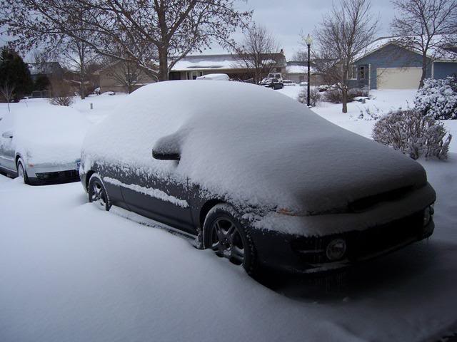 Name:  febsnow2.jpg
Views: 39
Size:  48.2 KB