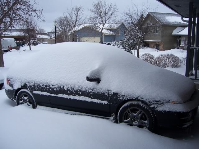 Name:  febsnow3.jpg
Views: 34
Size:  64.8 KB