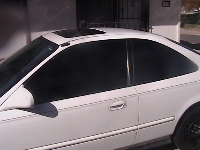 Name: Tint.jpg
Views: 23
Size: 32.5 KB
