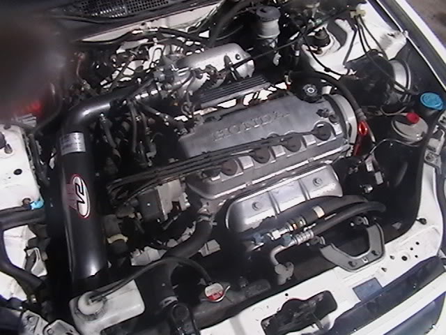 Name: Motor.jpg
Views: 26
Size: 69.5 KB