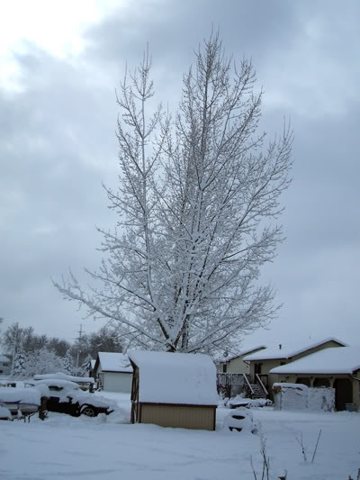 Name:  DSCF0142.jpg
Views: 28
Size:  48.2 KB