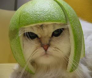 Name:  1160187640919.jpg
Views: 12
Size:  11.4 KB
